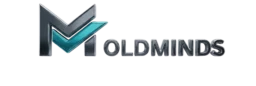 Moldminds new logo with 3D chrome effects.